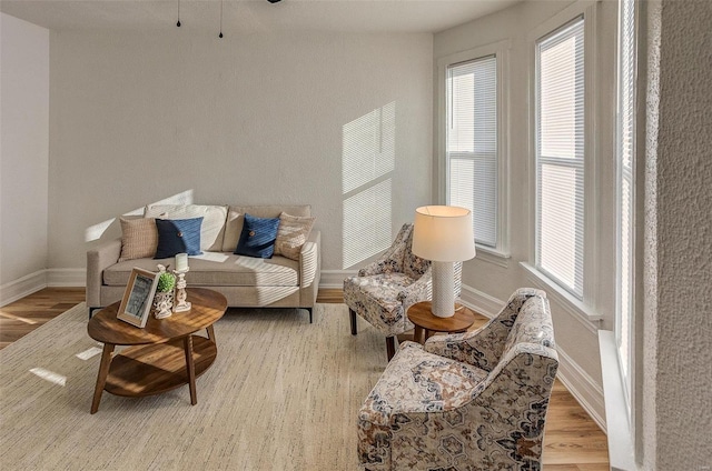 sitting room featuring light wood-type flooring