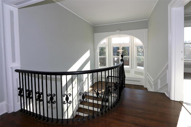 corridor with a chandelier, dark hardwood / wood-style floors, plenty of natural light, and crown molding