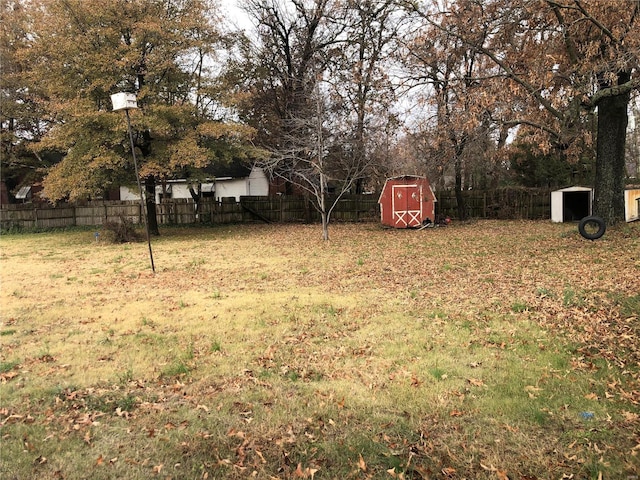 view of yard with a storage unit