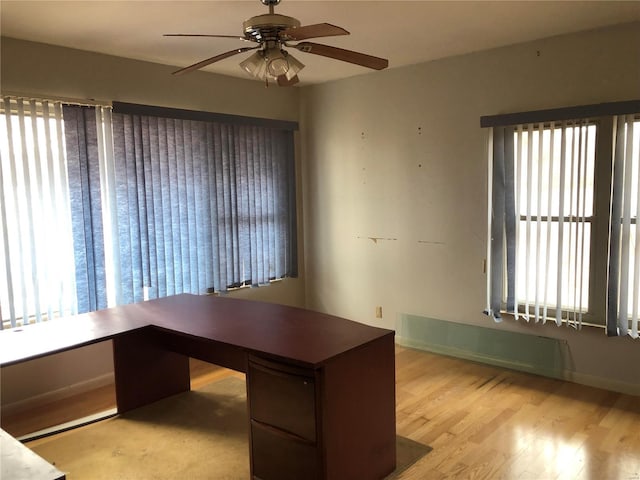 unfurnished office featuring a wealth of natural light, ceiling fan, and light hardwood / wood-style floors