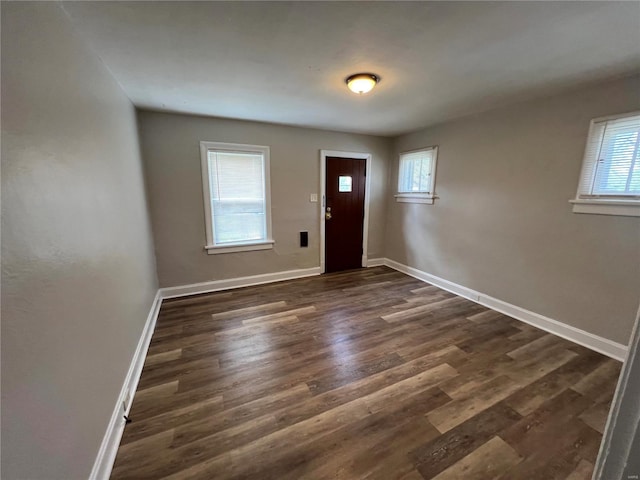 foyer featuring dark hardwood / wood-style floors and a healthy amount of sunlight