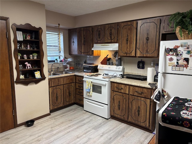 kitchen with dark brown cabinetry, sink, white appliances, decorative backsplash, and light wood-type flooring