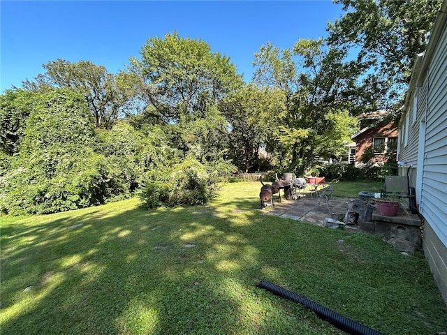 view of yard featuring a patio