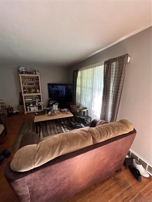 living room with hardwood / wood-style flooring