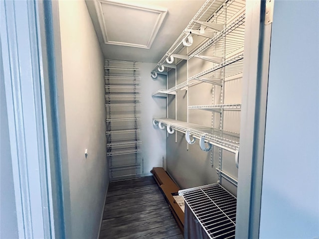 spacious closet with attic access and dark wood-style flooring