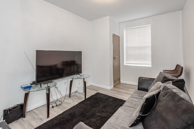 living room featuring light wood-type flooring