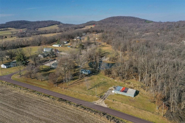 birds eye view of property with a mountain view and a rural view