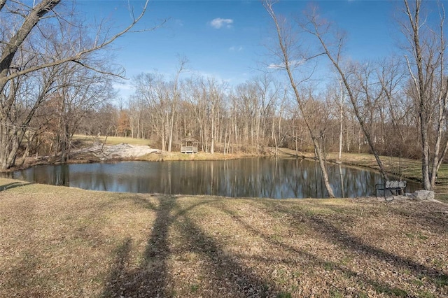 property view of water