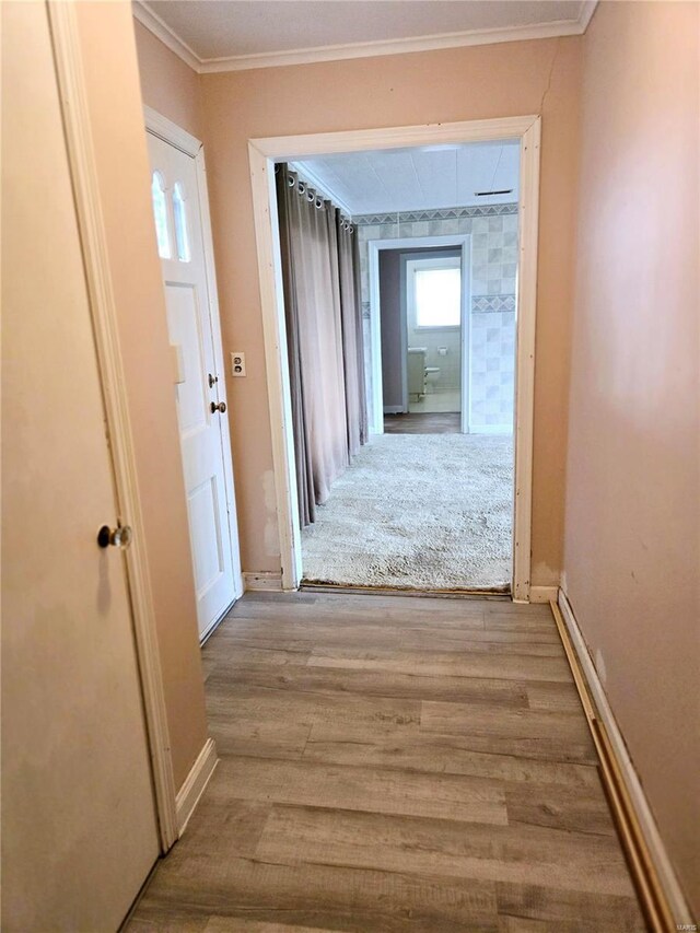 hallway with crown molding and light hardwood / wood-style floors