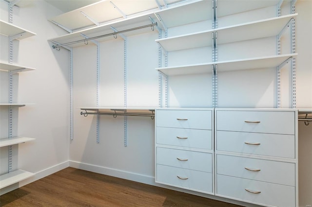 walk in closet featuring dark hardwood / wood-style flooring