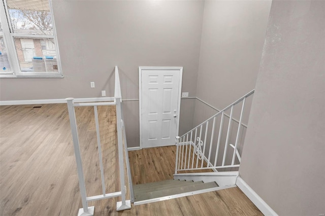 staircase with wood-type flooring