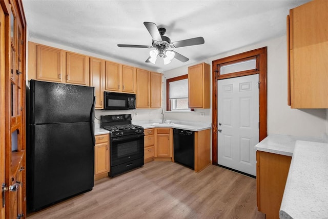 kitchen with ceiling fan, light hardwood / wood-style flooring, black appliances, and sink