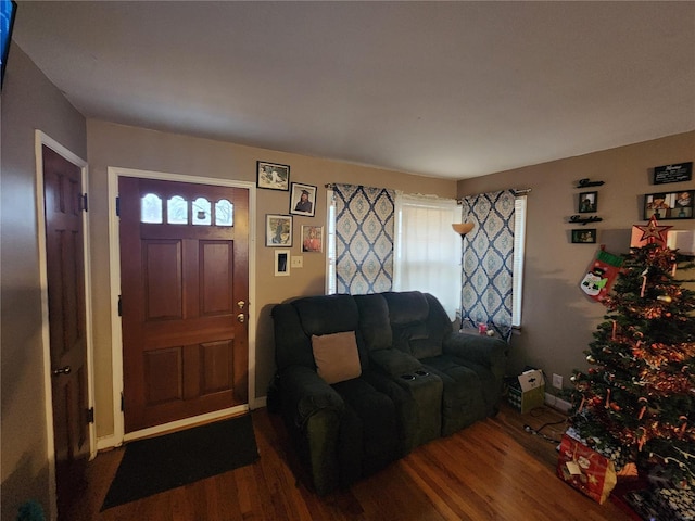 living room featuring hardwood / wood-style flooring