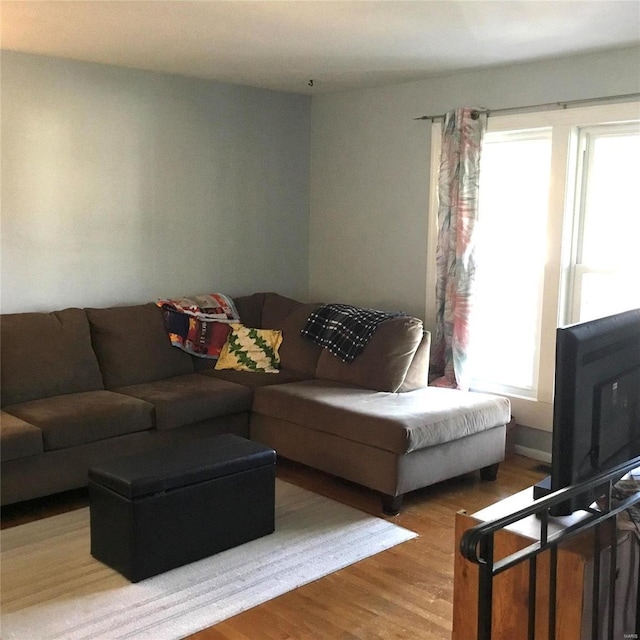 living room featuring hardwood / wood-style floors and a healthy amount of sunlight