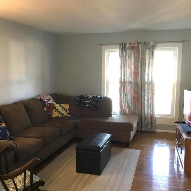 living room with hardwood / wood-style floors and plenty of natural light