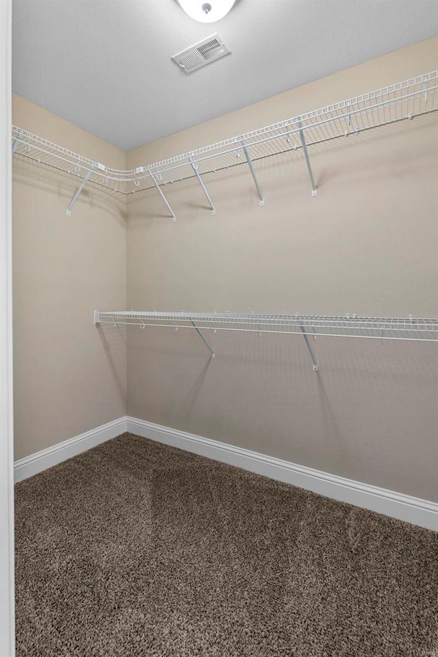 spacious closet with carpet