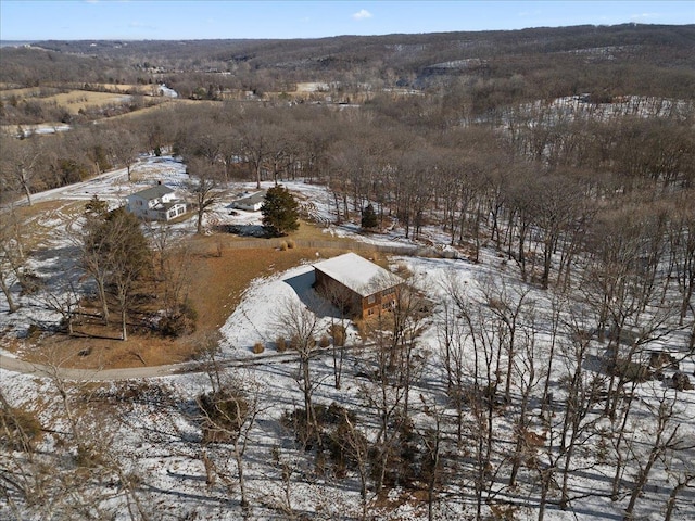 view of snowy aerial view