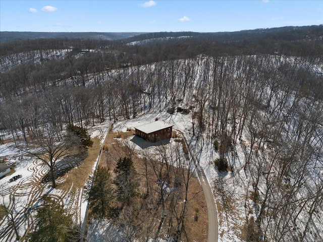 view of snowy aerial view