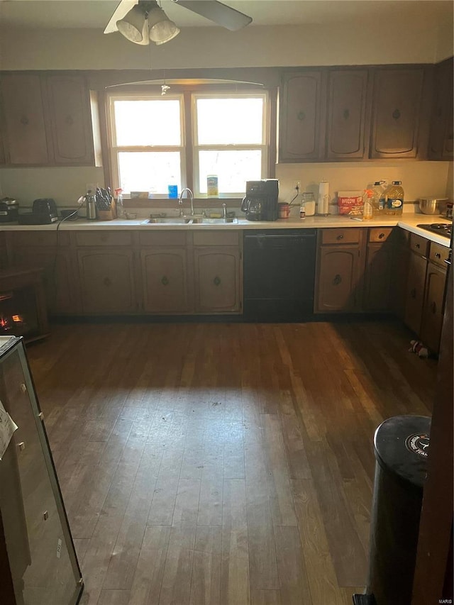 kitchen featuring ceiling fan, sink, dark hardwood / wood-style floors, and black dishwasher