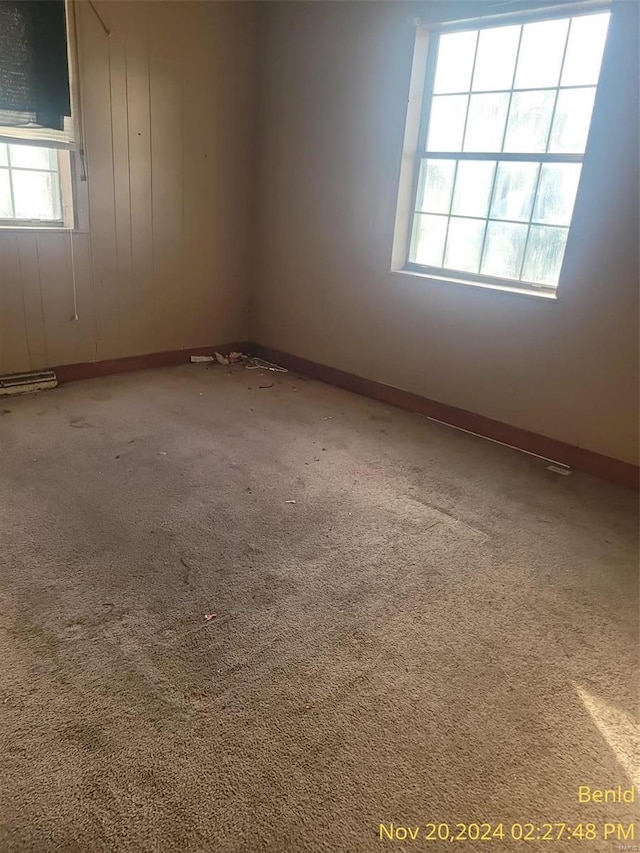 spare room with carpet