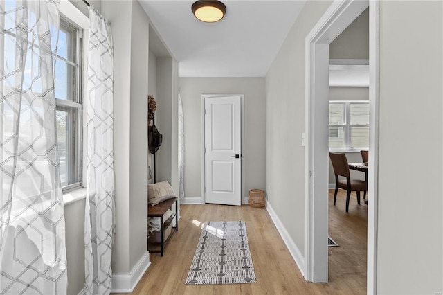 interior space featuring baseboards and light wood-style floors