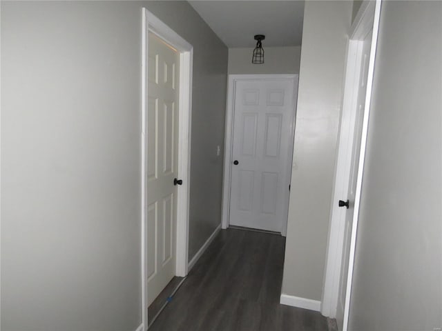 hall featuring dark hardwood / wood-style flooring