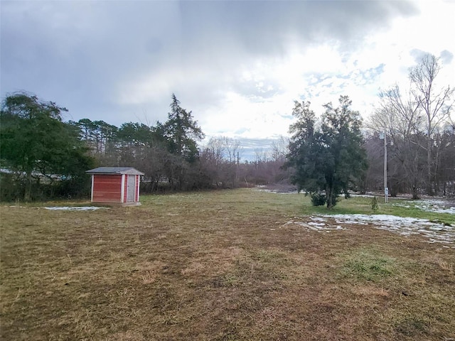 view of yard featuring a storage unit