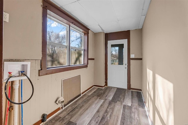 entryway with wood walls and wood-type flooring