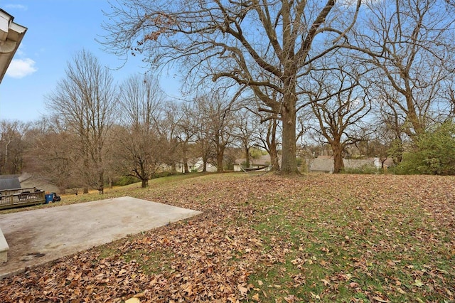 view of yard featuring a patio area