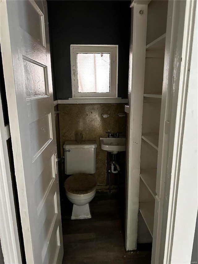 bathroom with sink, toilet, and hardwood / wood-style flooring