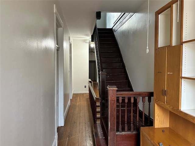 staircase featuring wood-type flooring