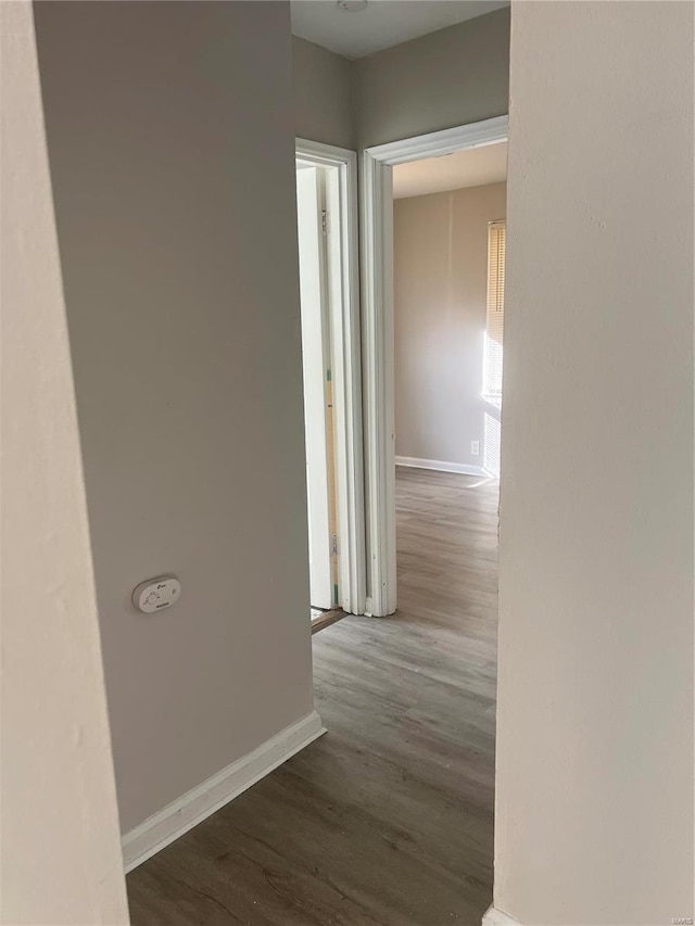 hall featuring dark hardwood / wood-style flooring