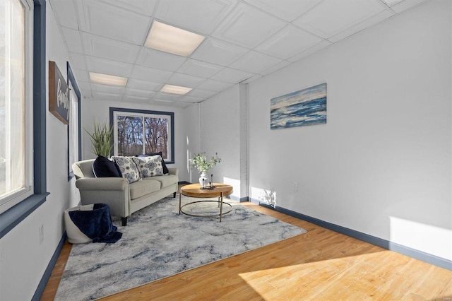 living room featuring a drop ceiling and wood-type flooring