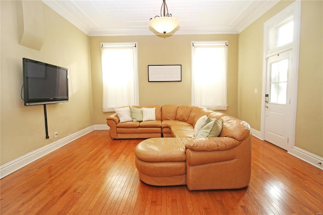 living room featuring wood-type flooring and ornamental molding