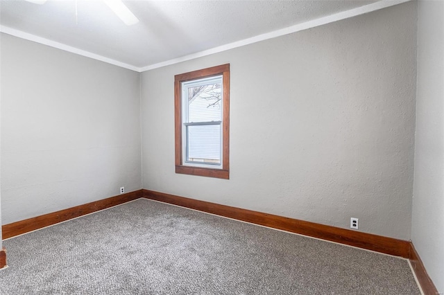 empty room featuring carpet floors and ornamental molding