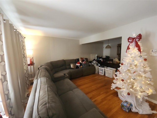 living room featuring wood finished floors