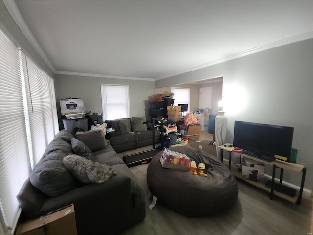 living room featuring crown molding