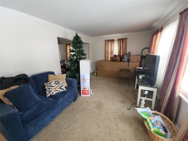 carpeted living room with crown molding