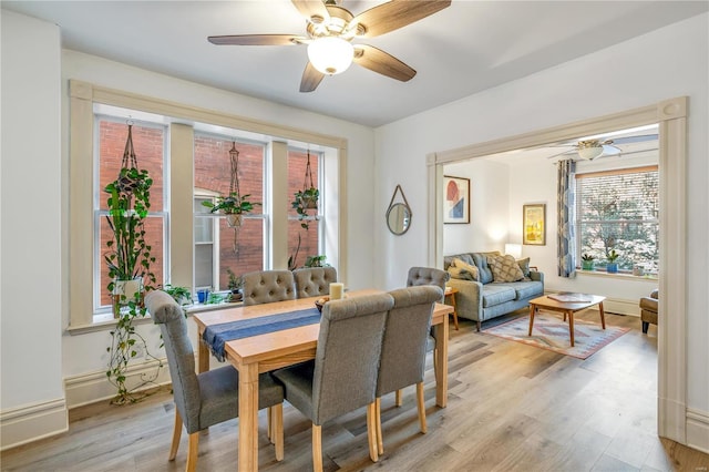 dining room featuring ceiling fan and light wood-type flooring