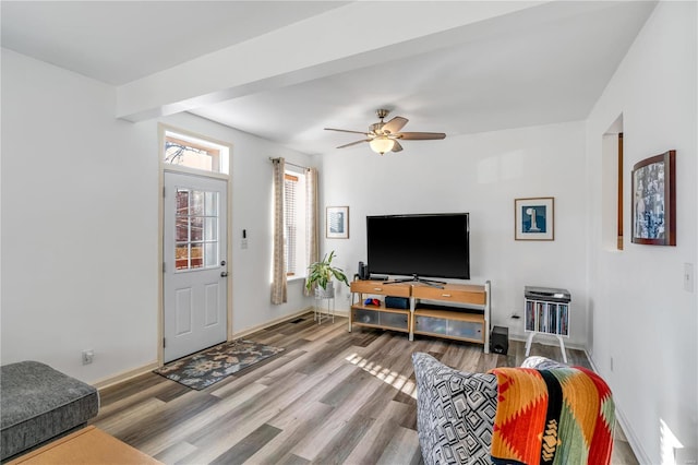 living room with ceiling fan and wood-type flooring