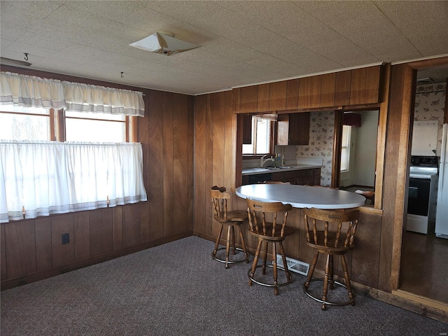 kitchen with a wealth of natural light, wooden walls, and dark carpet