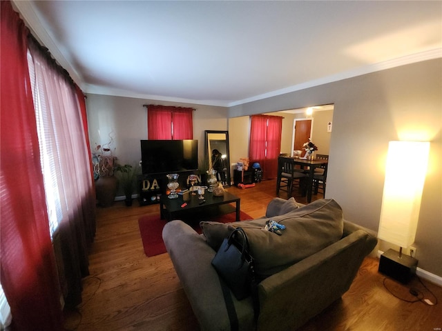 living room with ornamental molding and wood-type flooring