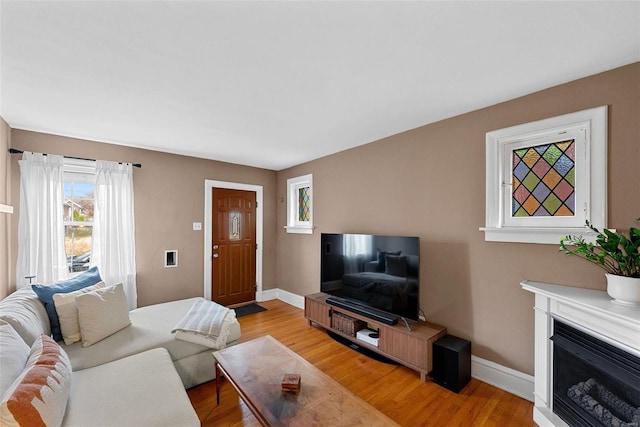 living room with light hardwood / wood-style flooring