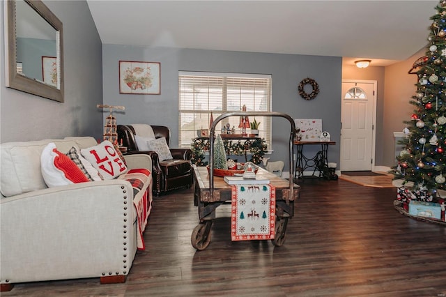 living room featuring dark wood-type flooring