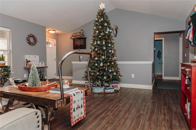 interior space with vaulted ceiling and dark hardwood / wood-style floors