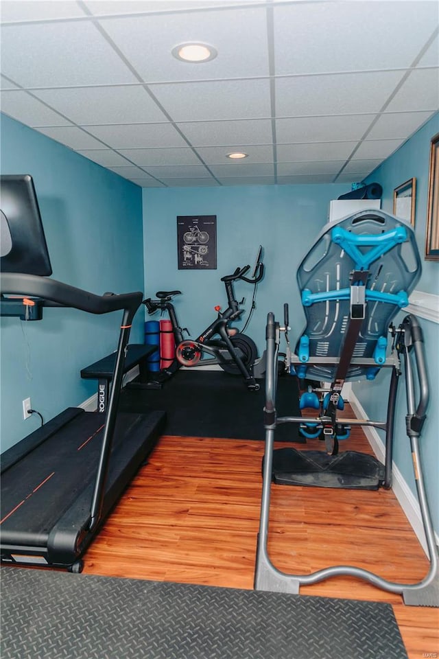 workout room featuring a paneled ceiling and wood-type flooring