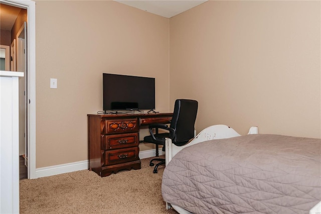 bedroom with carpet floors