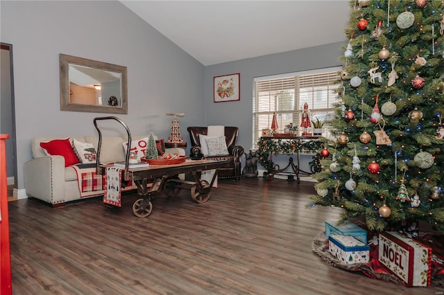 home office featuring dark hardwood / wood-style flooring and vaulted ceiling