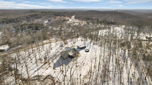 view of snowy aerial view