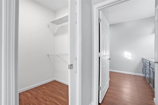 spacious closet featuring dark wood-type flooring